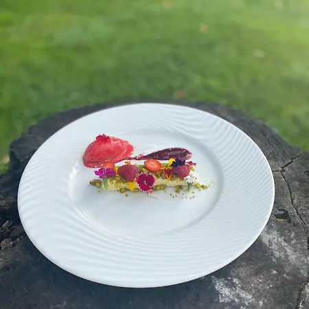 Le Chateau De Camille Saint-Jean-le-Comtal